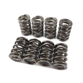 Valve Springs (Duel) High Performance (Isky Racing) - all 356  